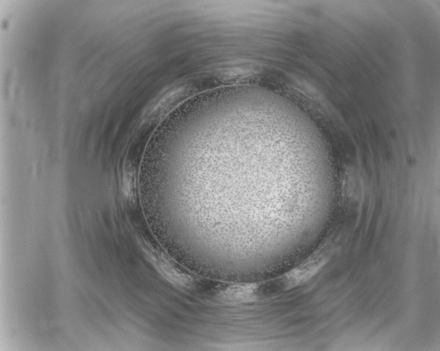 X0000059820138200510241405