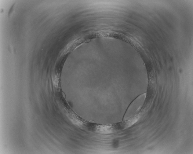 X0000059820139200510241405