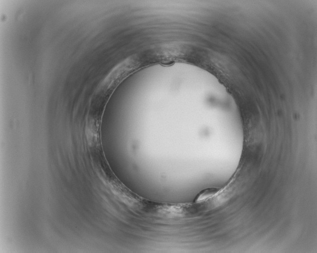 X0000059820140200510241405