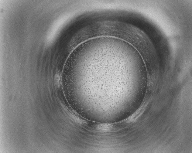 X0000059820142200510241405