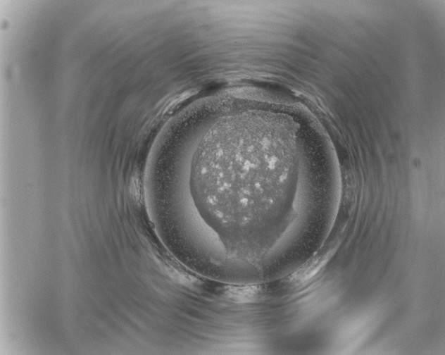 X0000059820143200510241405