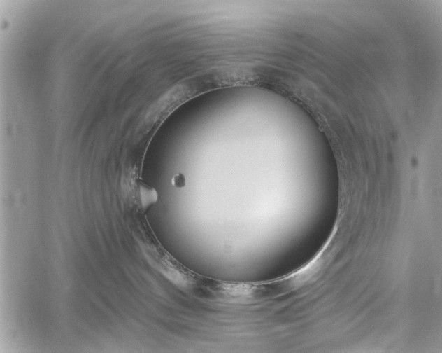 X0000059820144200510241405