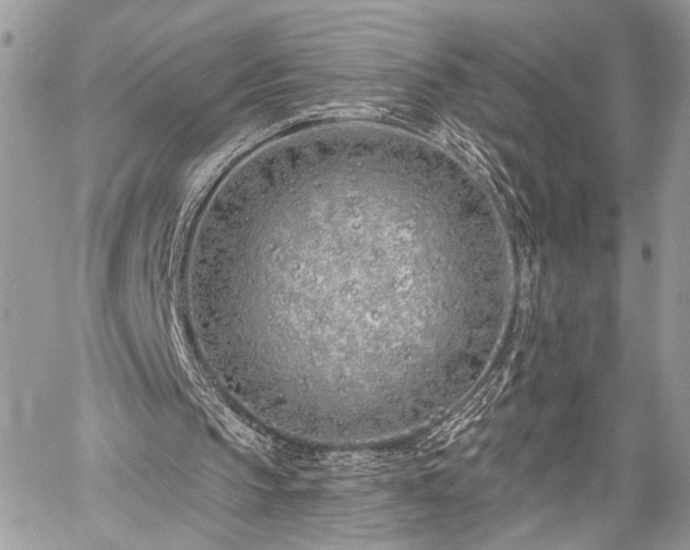 X0000059820145200510241404