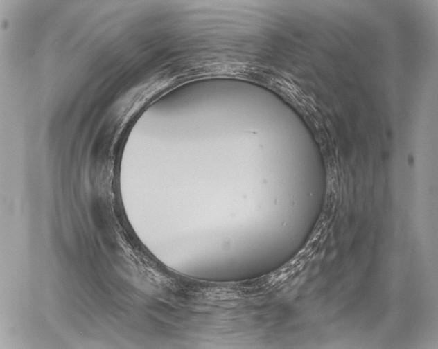 X0000059820146200510241404