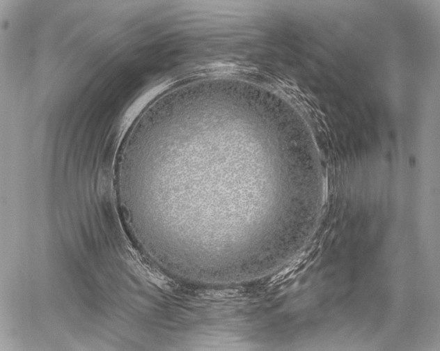 X0000059820147200510241404