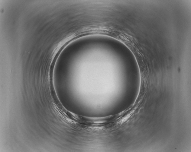 X0000059820148200510241404