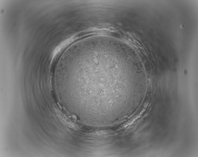 X0000059820149200510241404