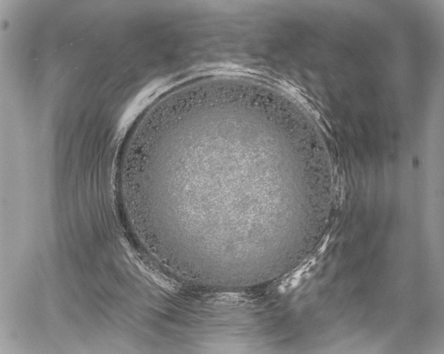 X0000059820151200510241404