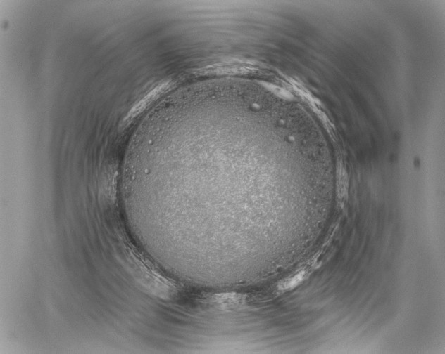 X0000059820153200510241404