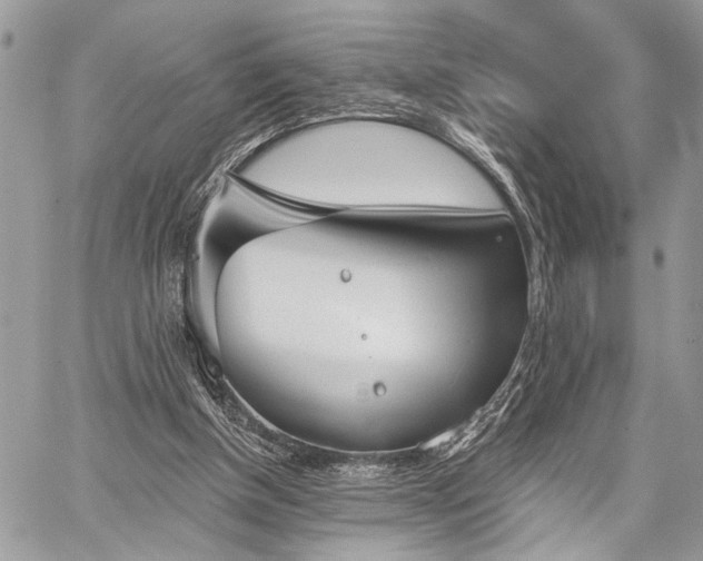 X0000059820154200510241404