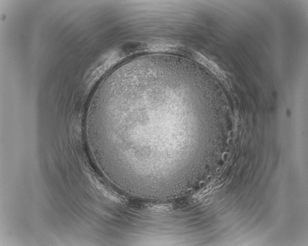 X0000059820155200510241404