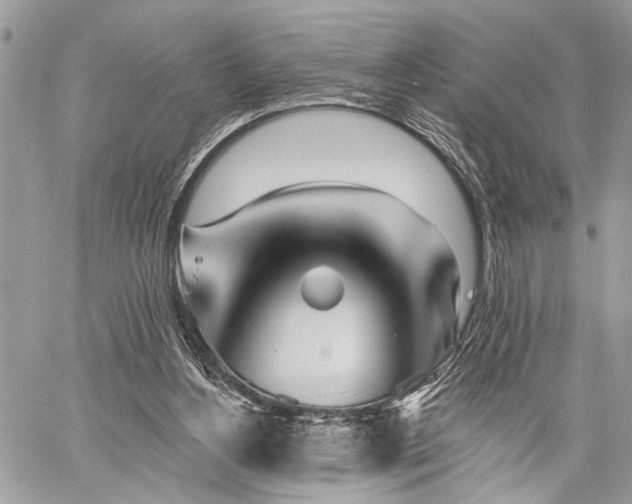 X0000059820156200510241404