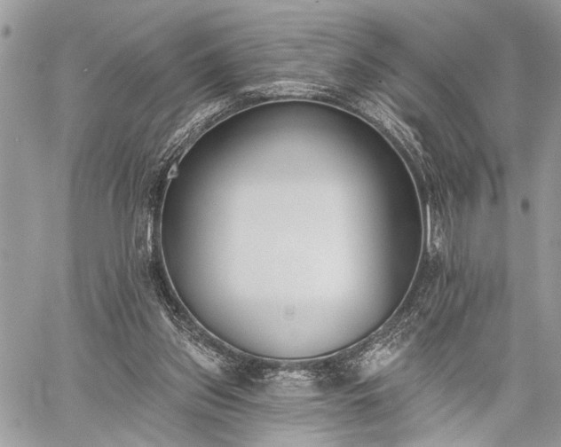 X0000059820157200510241404