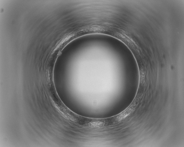 X0000059820158200510241404