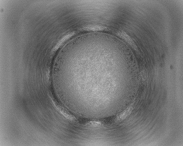 X0000059820159200510241404