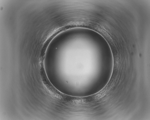 X0000059820160200510241404