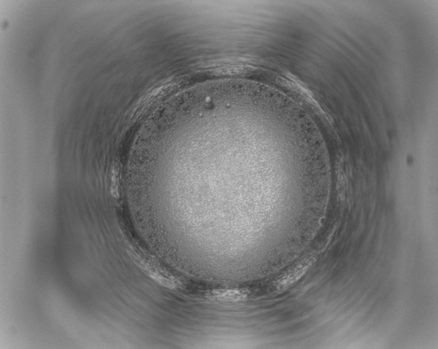 X0000059820161200510241404