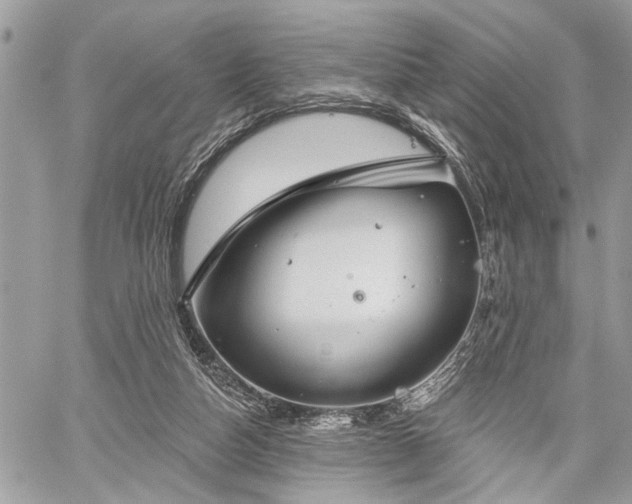 X0000059820162200510241404