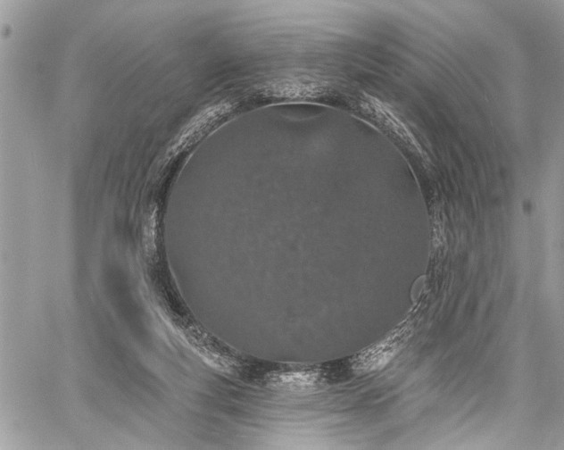 X0000059820163200510241404