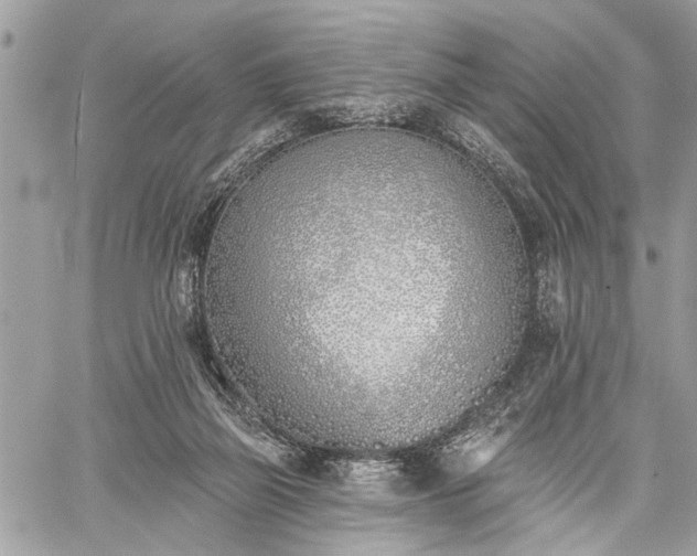 X0000059820165200510241404