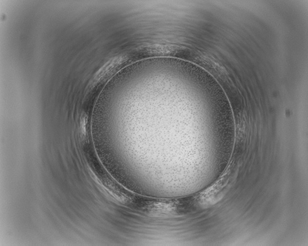 X0000059820166200510241404