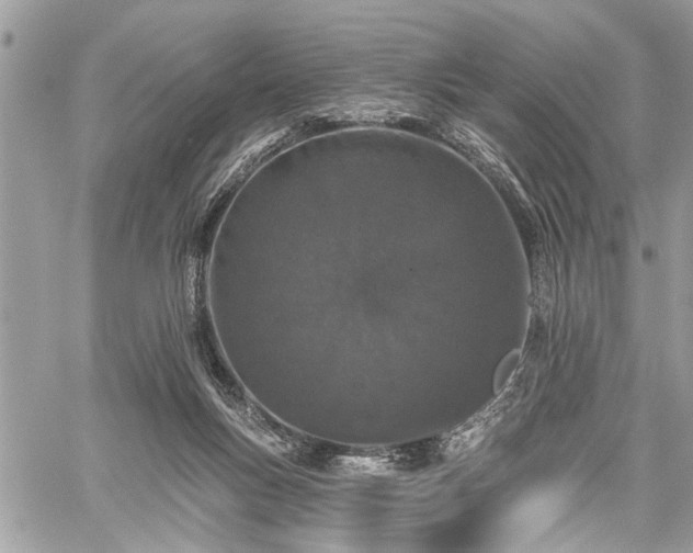 X0000059820167200510241404