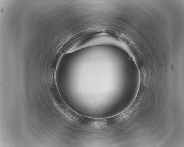 X0000059820168200510241404