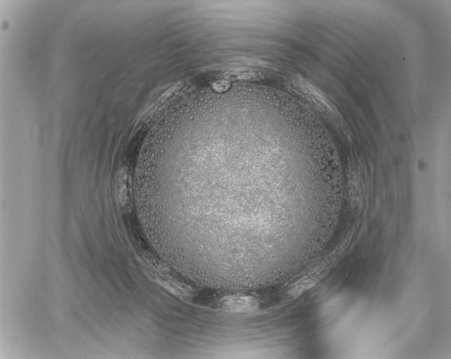 X0000059820169200510241404