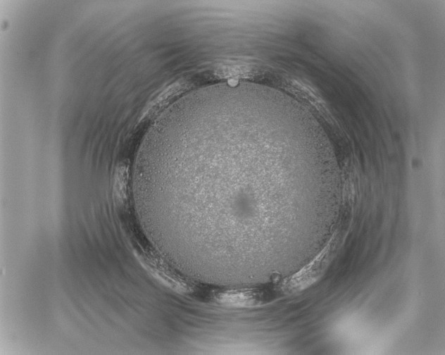 X0000059820171200510241405