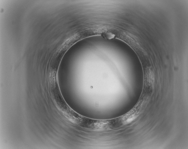 X0000059820172200510241405