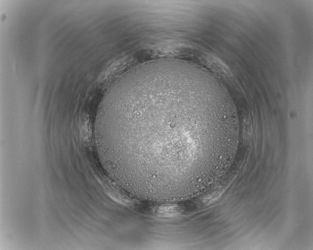 X0000059820173200510241405