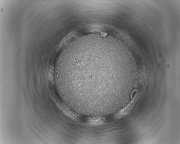 X0000059820175200510241405