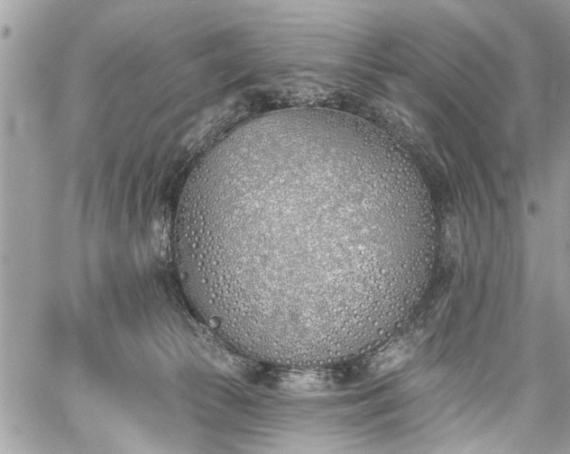 X0000059820177200510241405