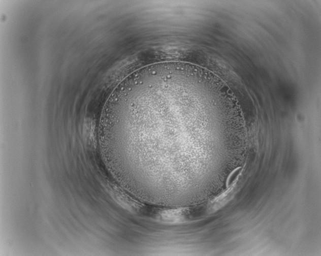 X0000059820178200510241405