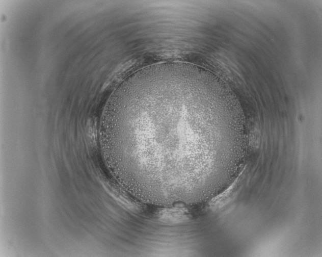 X0000059820179200510241405