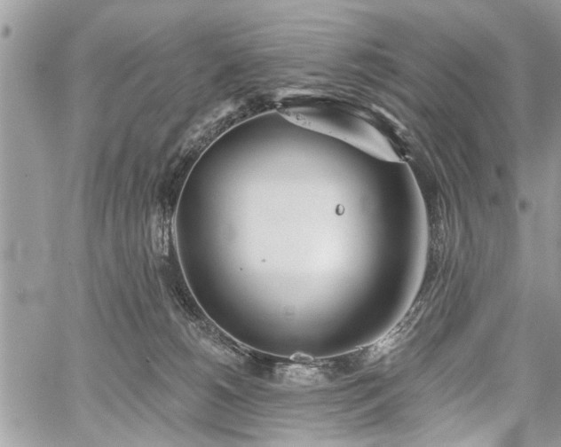 X0000059820180200510241405