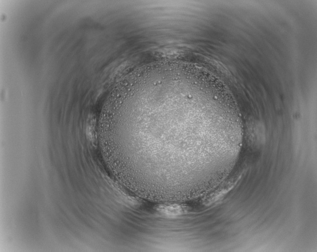 X0000059820181200510241405