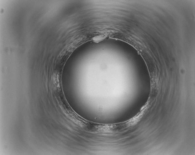 X0000059820182200510241405