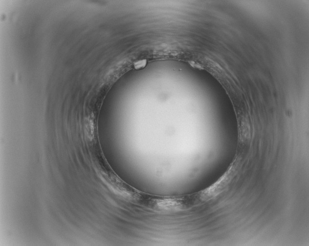 X0000059820183200510241405