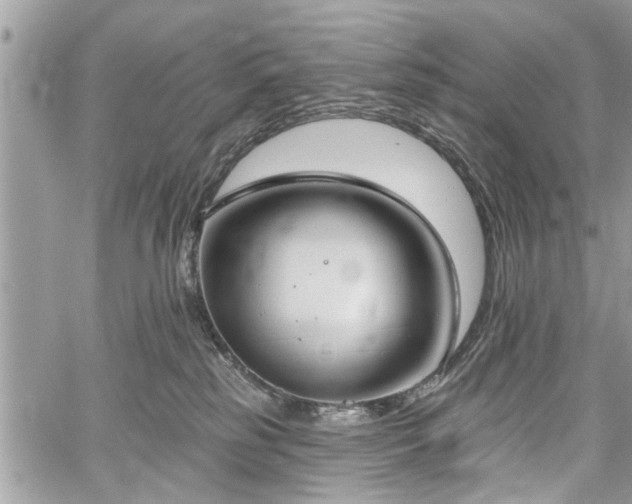 X0000059820185200510241405