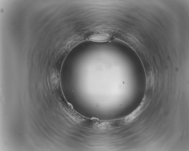 X0000059820186200510241405