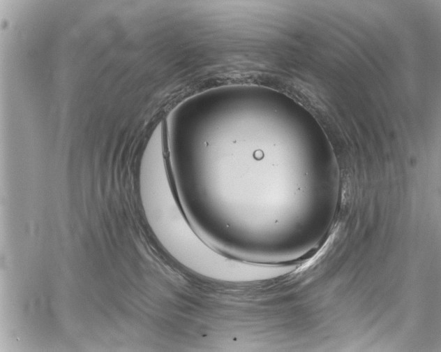 X0000059820187200510241405