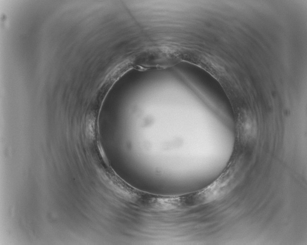 X0000059820188200510241405