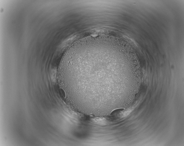 X0000059820189200510241405