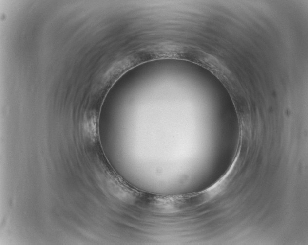 X0000059820190200510241405