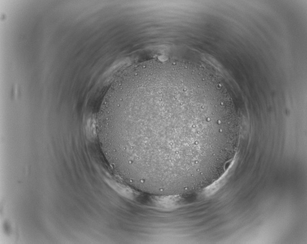 X0000059820191200510241405