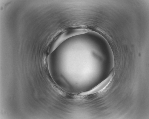 X0000059820192200510241405