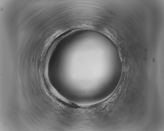 X0000059820193200510241404