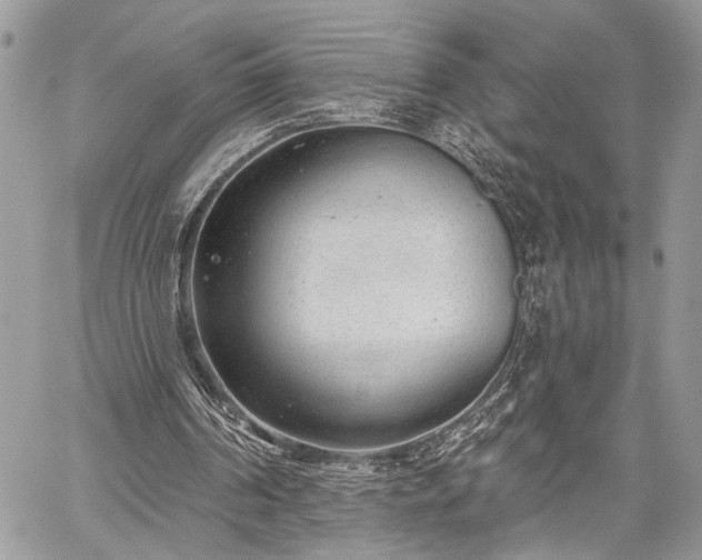 X0000059820194200510241404