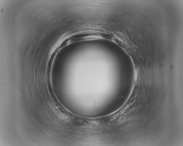 X0000059820195200510241404